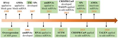 MicroRNA Techniques: Valuable Tools for Agronomic Trait Analyses and Breeding in Rice